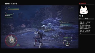 モンハンシリーズを初めてプレイ（１１日目）