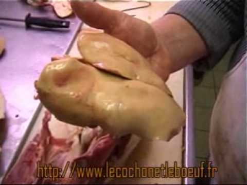 download lagu mp3 mp4 Foie Gras Au Sauterne Recette, download lagu Foie Gras Au Sauterne Recette gratis, unduh video klip Foie Gras Au Sauterne Recette