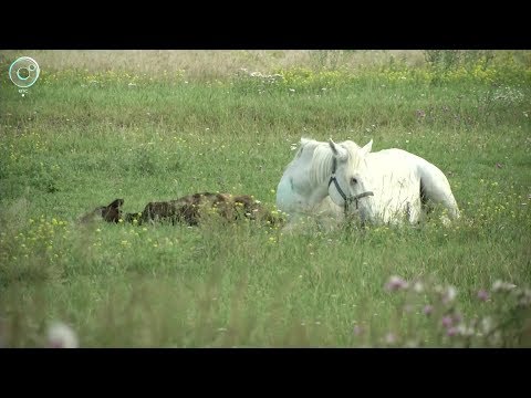 НОВОСТИ УТРА: 28 сентября 2017 | Телеканал ОТС