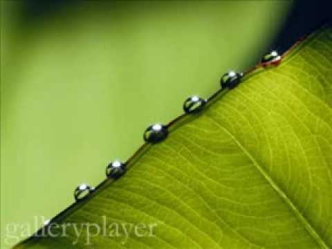 Hercules RMX ARABIC by DJ DIMIX