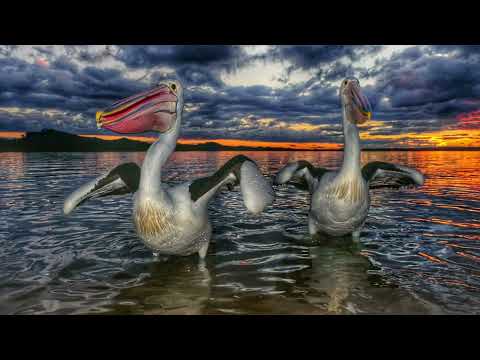 Marlo Sunset’s East Gippsland VIC. Australia