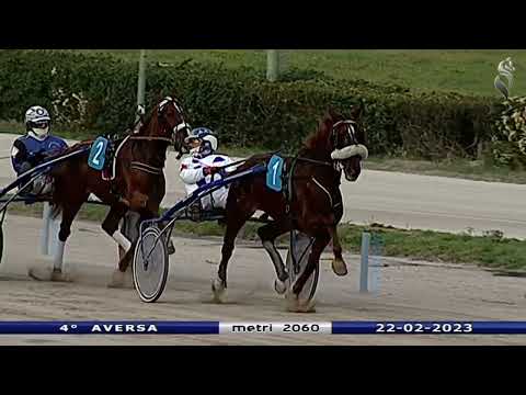 Aversa trotto 22 Febbraio 2023 - 4° Corsa