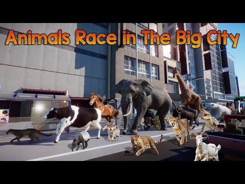Carnivore VS Herbivore Animals Race in the Big City included Elephant, Lion, Giraffe,Ostrich & Hippo