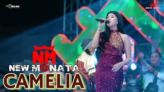Download lagu CAMELIA - SASA KDI - ( COVER ) mp3