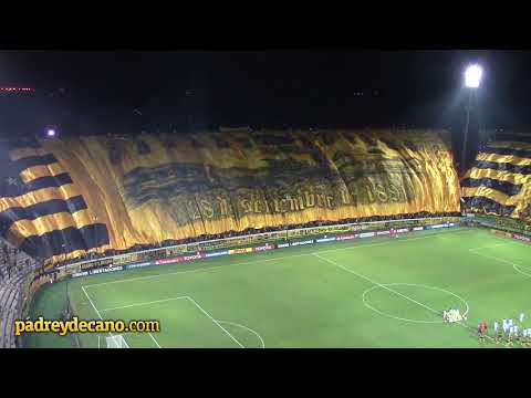 "Hinchada Peñarol: Bandera Gigante vs. Atl. Tucumán (Libertadores 2018)" Barra: Barra Amsterdam • Club: Peñarol
