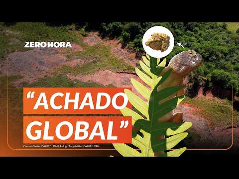 FÓSSIL de réptil de 240 MILHÕES DE ANOS é descoberto no RS | Zero Hora