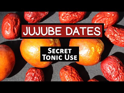 Red Jujube Fruit, Secret Tonic Use of a Superfruit Variety