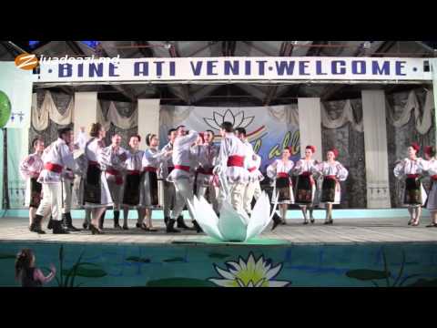 Ansamblul „Izvoraşul" -- „Chilabaua" , Nufărul Alb 2013