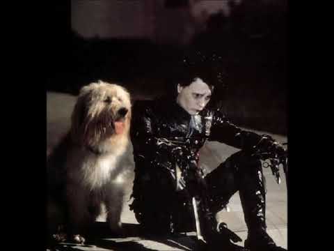 [free] emo x shoegaze x title fight type instrumental - "afterlife"