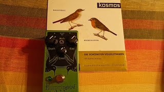 Video thumbnail for EarthQuaker Devices Hummingbird Repeat Percussions V4 by David Kox