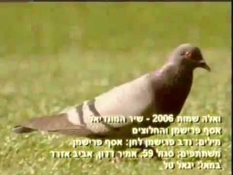 download lagu mp3 mp4 מונדיאל 2006, download lagu מונדיאל 2006 gratis, unduh video klip מונדיאל 2006