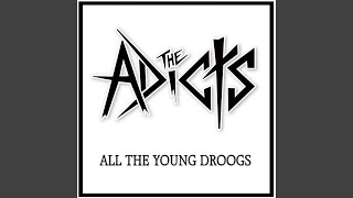 All the Young Droogs