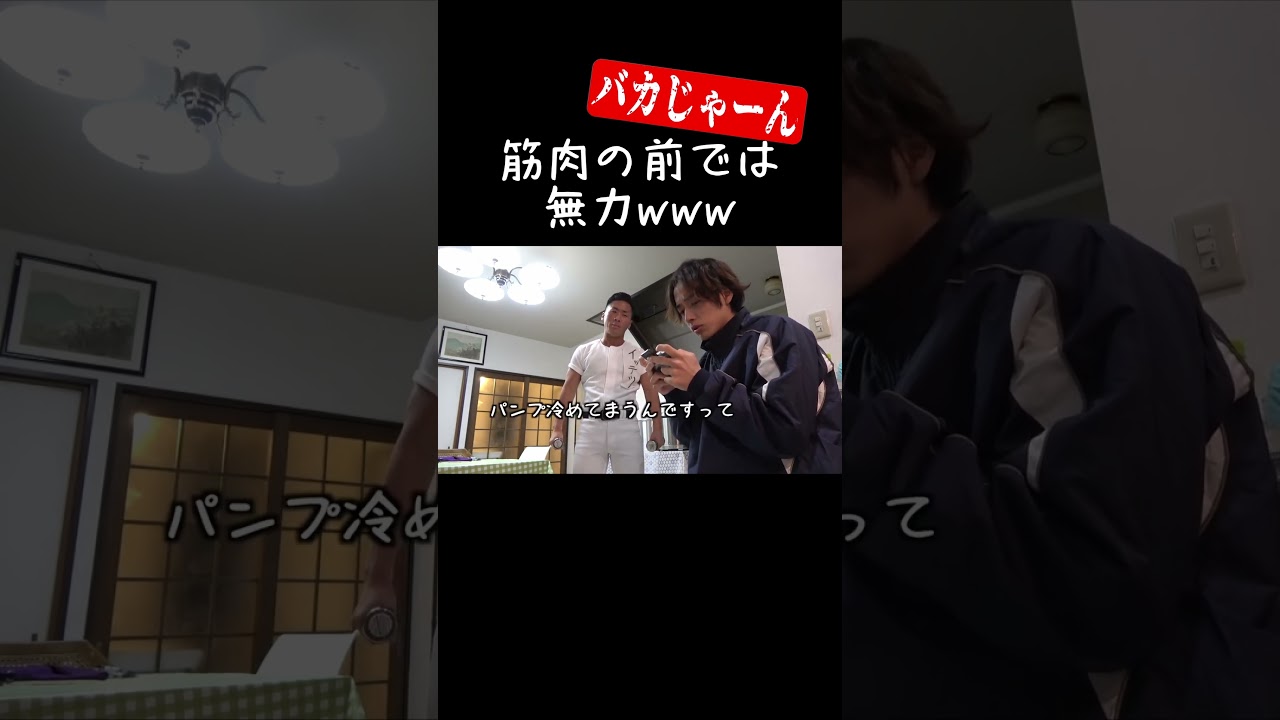 筋肉に振り回される先輩www【あめんぼぷらす】【解放切り抜き】#shorts