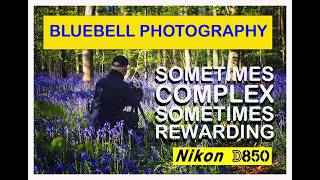DID WE MISS THE VIBRANT GLOW OF THE BLUEBELLS ?#bluebells#woodland#bluebellvlog#bluebell #nikond850
