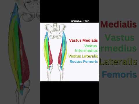 What causes pain in the front of your thigh?
