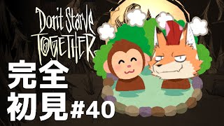 [Don't Starve Together]初見配信！難関サバイバルゲー！ここは地獄の一丁目…？その４０#vtuber