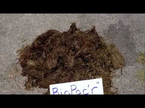 Biopac'r silage explained