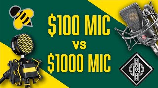 Video thumbnail for Neumann TLM103 vs Neat Microphones Worker Bee | Mic Comparison for Broadcasters & Podcasters by Audio Insider
