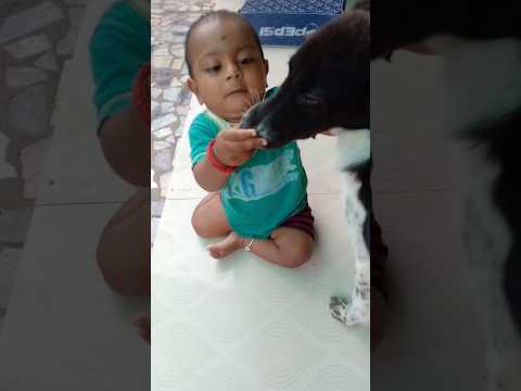 🤩dogy dogy dogy style da🤩😍@Bhuvana_lifestyle, #trending song, #viral short