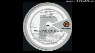 Sounds Of Blackness - Optimistic (12&quot; Never Say Die Mix)