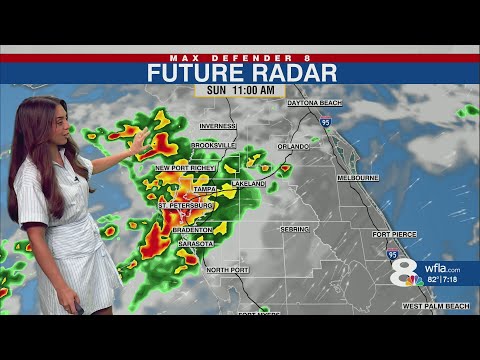 Tampa Radar Weather