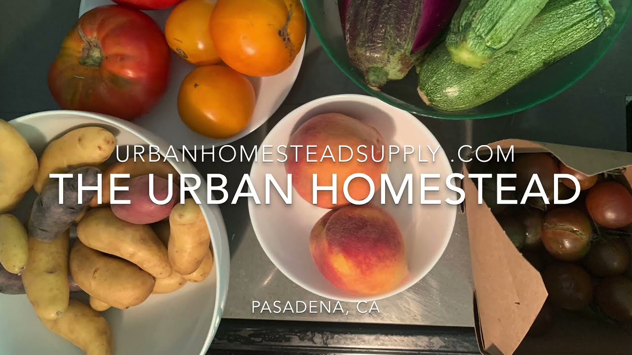 Amazing Produce from The Urban Homestead, Pasadena, CA | Unboxing my CSA | urbanhomesteadsupply.com