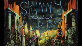 Skinny Puppy - Last Rights (Full Album Stream)