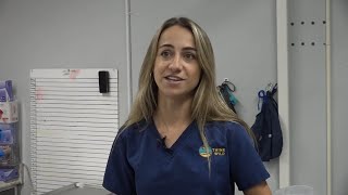 Think Wild among local businesses, non-profits feeling high health insurance hikes