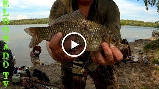 Ловля карася весной на каховском водохранилище