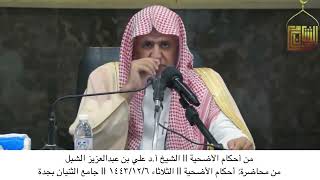 صورة أ.د. علي الشبل | من أحكام الأضحية