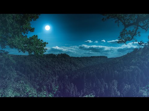 Jaytech - In The Jungle (Original Mix)