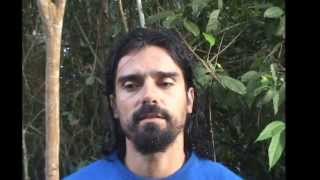 Vozes da Floresta - InSitu Produções