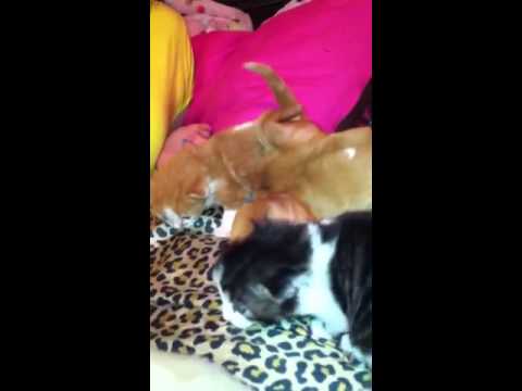 Oh sweet Norma Jean..