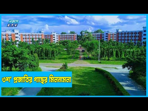 ধূ ধূ প্রান্তর এখন সবুজারণ্য, ব্যবধান মাত্র ৯ বছর!