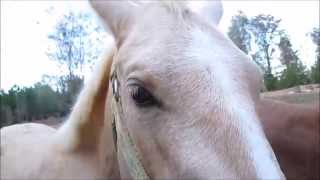 ✯♫Hoping, Praying☯❥