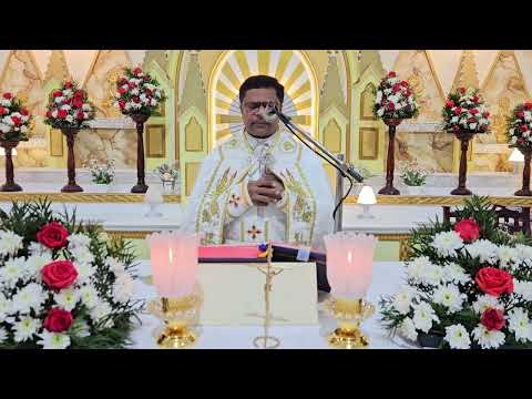 Sunday Holy  Mass 5.30 AM  January 25  I  Syro  Malabar I Fr Bineesh Augustine  Malayalam