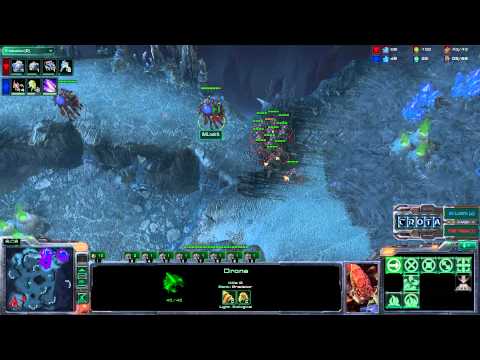 SC737 - G1 -  IM LosirA (Z) vs Polt Prime (T) on Xel'Naga Caverns