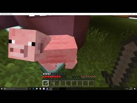 download lagu mp3 mp4 Bacon Bunnies, download lagu Bacon Bunnies gratis, unduh video klip Bacon Bunnies