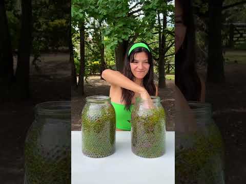 No elijas el lado incorrecto !! 🤓 #shorts