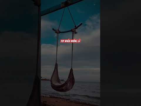 #238 HÃY KIỂM TRA MỖI VIỆC LÀM: TỘI LỖI HAY THỜ PHƯỢNG