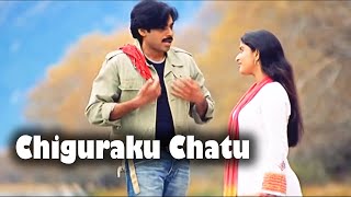 Chiguraku Chatu Full Video Song  Pawan Kalyan Meer
