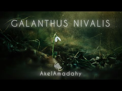 youtube-video-thumbnail