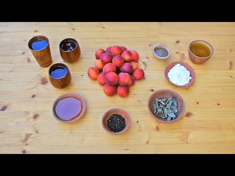 Gustum de Praecoquis - Appetizer with Apricots - Ancient Roman Recipe