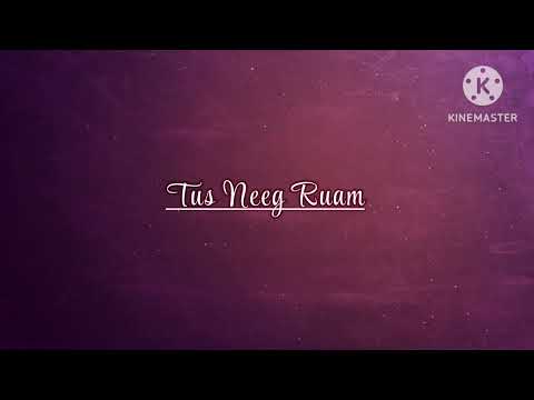 Tus Neeg Ruam - RLin Thoj (lyrics)