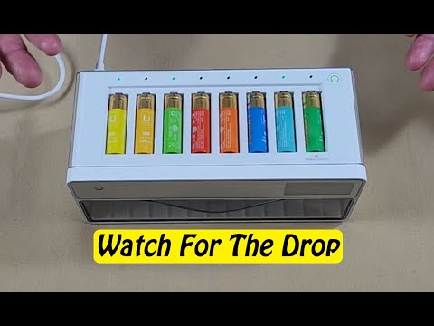 Linogy Battery Charger and Lithium Ion Batteries