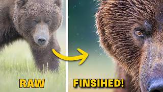Master Composition & Lightroom to Transform Your Photos