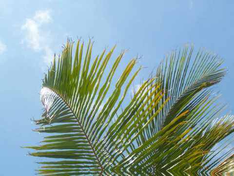 Filthy Dukes - Tupac Robot Club Rock (Filthy Dukes Kill Em All Remix)