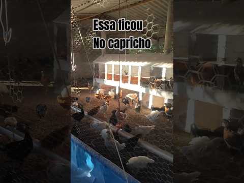 ✅ GRANJA BARROCA ÉRICO CARDOSO BAHIA