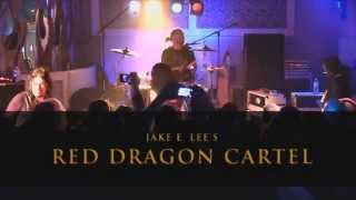 Red Dragon Cartel - Feeder