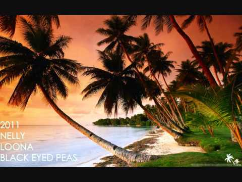 Nelly,Loona,Black Eyed Peas - Just a playa long time mix